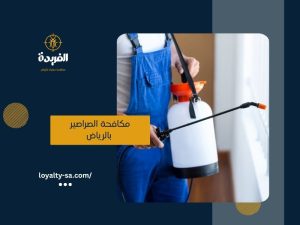 شركة مكافحة الصراصير بالرياض