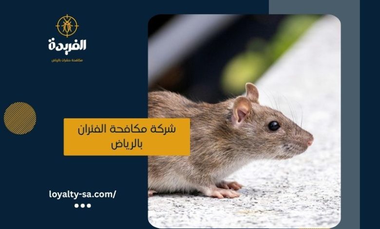 شركة مكافحة الفئران بالرياض