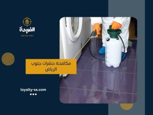 شركة مكافحة حشرات جنوب الرياض