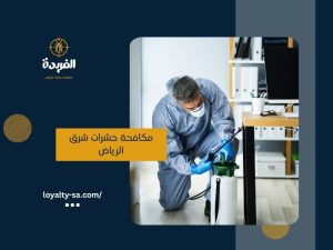 مكافحة حشرات شرق الرياض