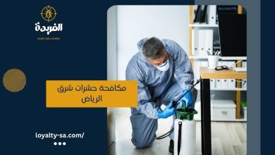مكافحة حشرات شرق الرياض