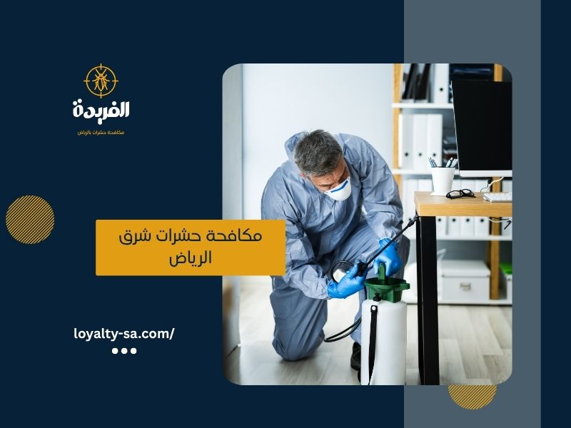 مكافحة حشرات شرق الرياض