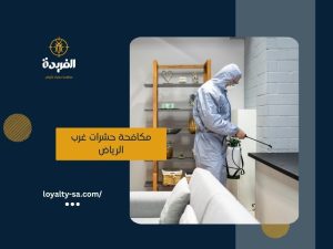 شركة مكافحة حشرات غرب الرياض
