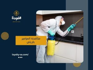 شركة مكافحة الصراصير بالرياض