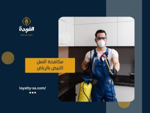 شركة مكافحة النمل الابيض بالرياض