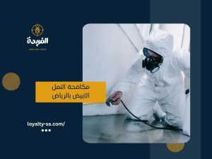 شركة مكافحة النمل الابيض بالرياض
