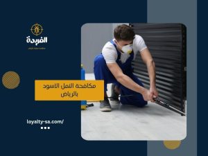 شركة مكافحة النمل الاسود بالرياض