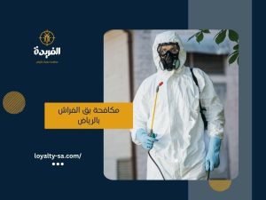 شركة مكافحة بق الفراش بالرياض