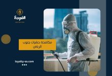 شركة مكافحة حشرات جنوب الرياض