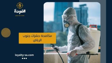 شركة مكافحة حشرات جنوب الرياض