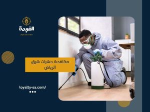 مكافحة حشرات شرق الرياض
