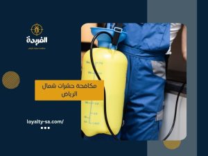 شركة مكافحة حشرات شمال الرياض