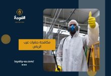 شركة مكافحة حشرات غرب الرياض